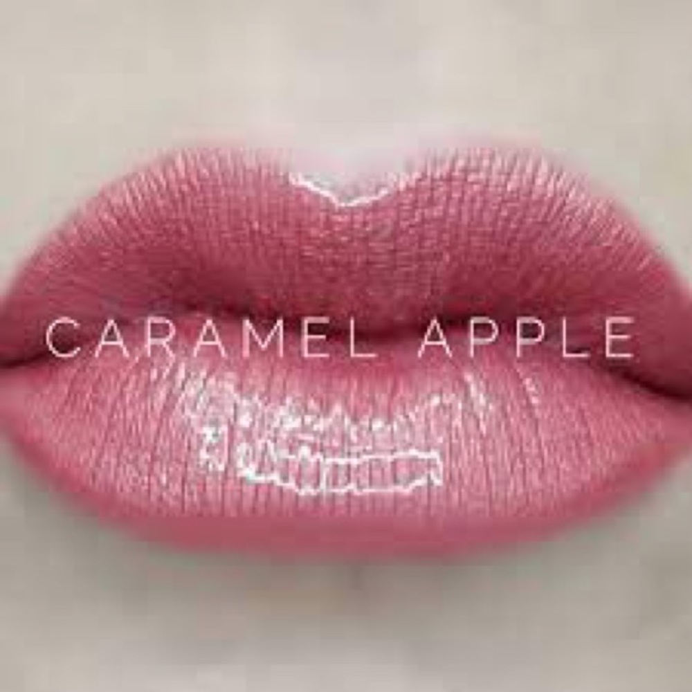 Lipsense by Senegence. Shade: Caramel Apple. NWT. 🍁🍂🌿🪴🌱🍃